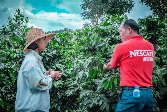 "Focus on COP15" Actively Protect Biodiversity Nescafe Mellow Endless Plan